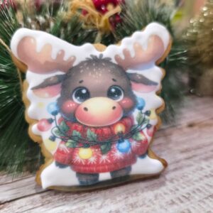 Galleta Reno con Jersey